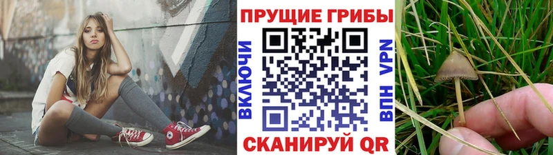 Псилоцибиновые грибы Magic Shrooms  Сургут 