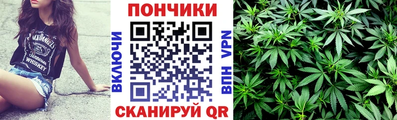 гидра рабочий сайт  Сургут  Конопля семена 